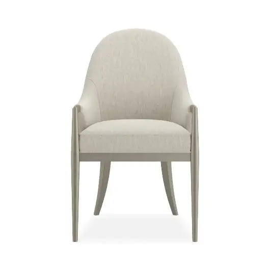 Picture of NATURAL CHOICE ARM DINING CHAIR