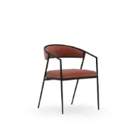Picture of DARIO ARM CHAIR