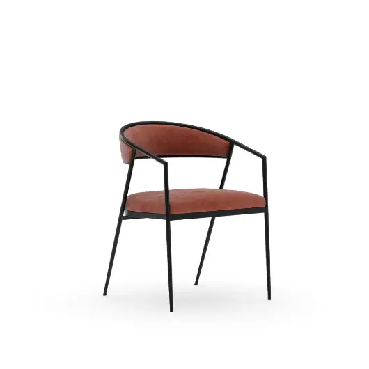 Picture of DARIO ARM CHAIR