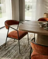 Picture of DARIO ARM CHAIR