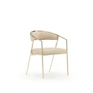 Picture of DARIO ARM CHAIR