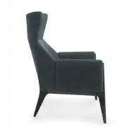 Picture of BOUNDLESS ACCENT CHAIR