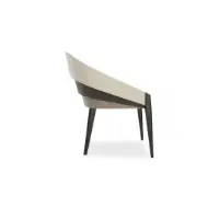Picture of ON ALL LEVELS DINING CHAIR