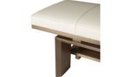 Picture of BENCH PRESS