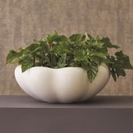 Picture of POND BOWL