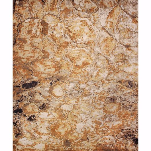 Picture of Burled Canvas I