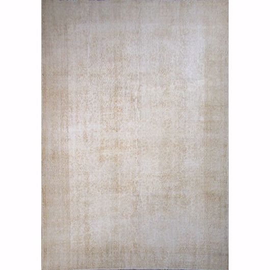 Picture of OLV-2974