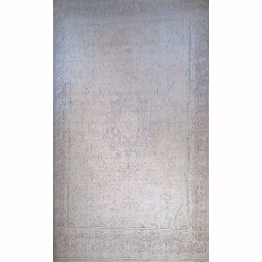 Picture of OLV-5008