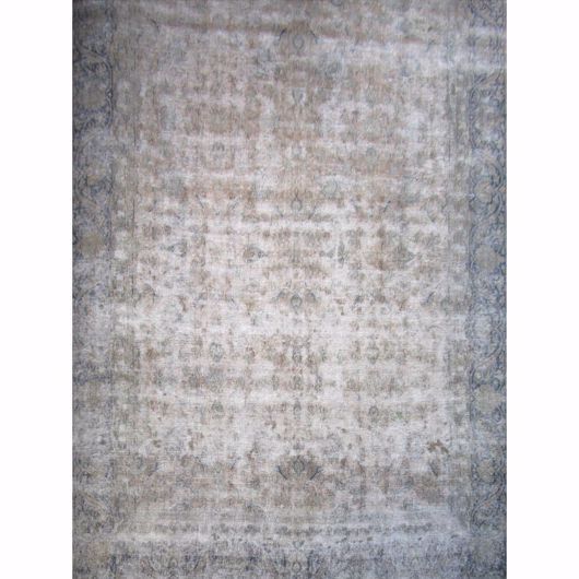 Picture of OLV-562