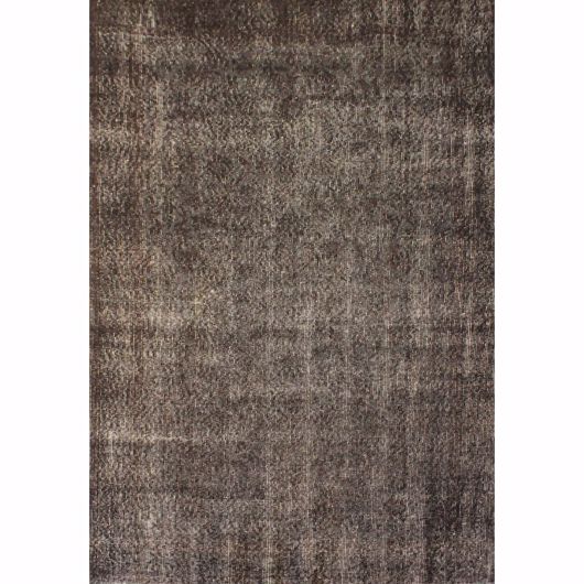 Picture of OLVR-538
