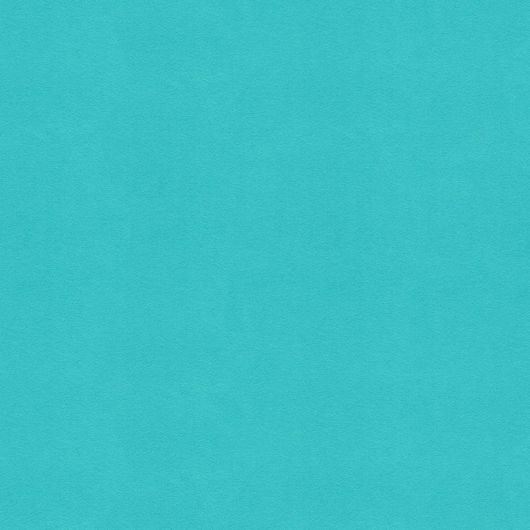 This image is for illustrative purposes only. The colors shown are accurate within the constraints of lighting, photography and the color accuracy of your screen.