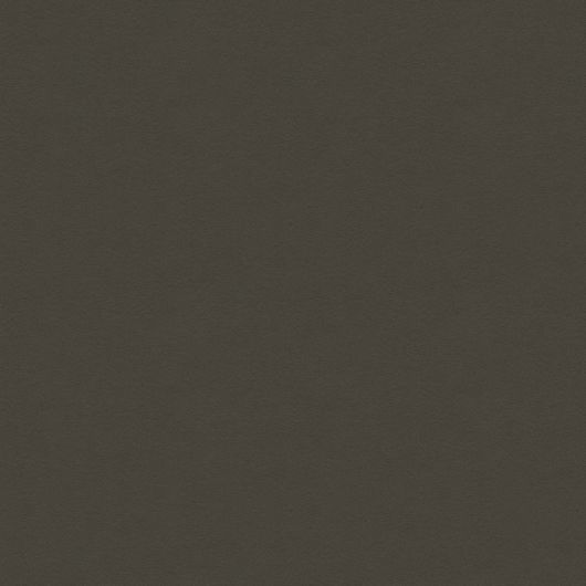 This image is for illustrative purposes only. The colors shown are accurate within the constraints of lighting, photography and the color accuracy of your screen.
