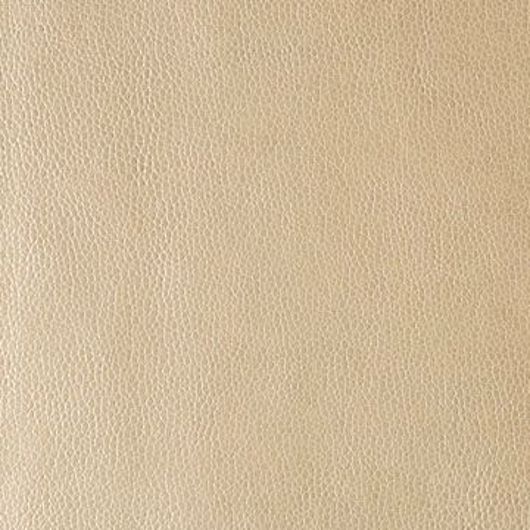 This image is for illustrative purposes only. The colors shown are accurate within the constraints of lighting, photography and the color accuracy of your screen.