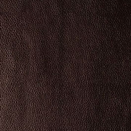 This image is for illustrative purposes only. The colors shown are accurate within the constraints of lighting, photography and the color accuracy of your screen.