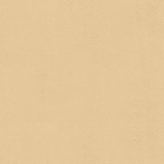 This image is for illustrative purposes only. The colors shown are accurate within the constraints of lighting, photography and the color accuracy of your screen.