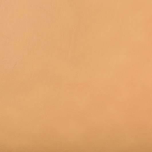 This image is for illustrative purposes only. The colors shown are accurate within the constraints of lighting, photography and the color accuracy of your screen.
