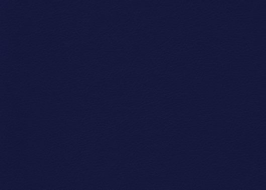 This image is for illustrative purposes only. The colors shown are accurate within the constraints of lighting, photography and the color accuracy of your screen.
