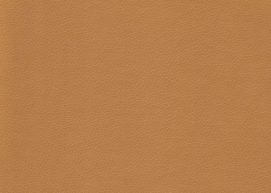 This image is for illustrative purposes only. The colors shown are accurate within the constraints of lighting, photography and the color accuracy of your screen.