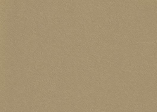 This image is for illustrative purposes only. The colors shown are accurate within the constraints of lighting, photography and the color accuracy of your screen.