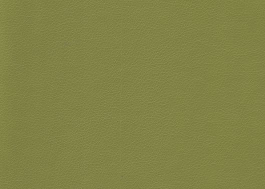 This image is for illustrative purposes only. The colors shown are accurate within the constraints of lighting, photography and the color accuracy of your screen.
