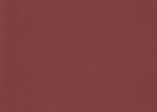 This image is for illustrative purposes only. The colors shown are accurate within the constraints of lighting, photography and the color accuracy of your screen.