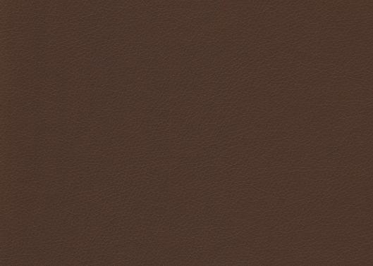 This image is for illustrative purposes only. The colors shown are accurate within the constraints of lighting, photography and the color accuracy of your screen.