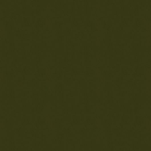 This image is for illustrative purposes only. The colors shown are accurate within the constraints of lighting, photography and the color accuracy of your screen.