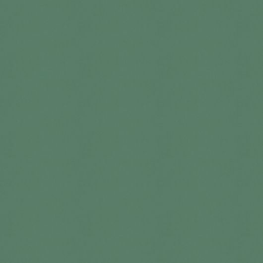 This image is for illustrative purposes only. The colors shown are accurate within the constraints of lighting, photography and the color accuracy of your screen.