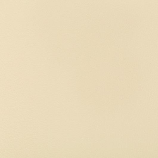 This image is for illustrative purposes only. The colors shown are accurate within the constraints of lighting, photography and the color accuracy of your screen.