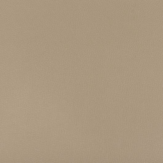 This image is for illustrative purposes only. The colors shown are accurate within the constraints of lighting, photography and the color accuracy of your screen.