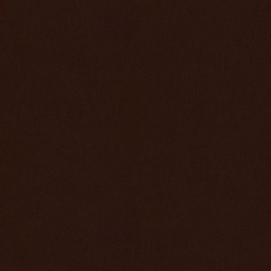 This image is for illustrative purposes only. The colors shown are accurate within the constraints of lighting, photography and the color accuracy of your screen.