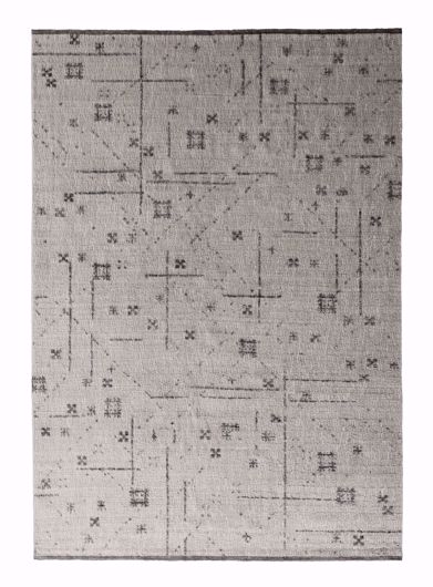 Picture of Fracto in Chalk