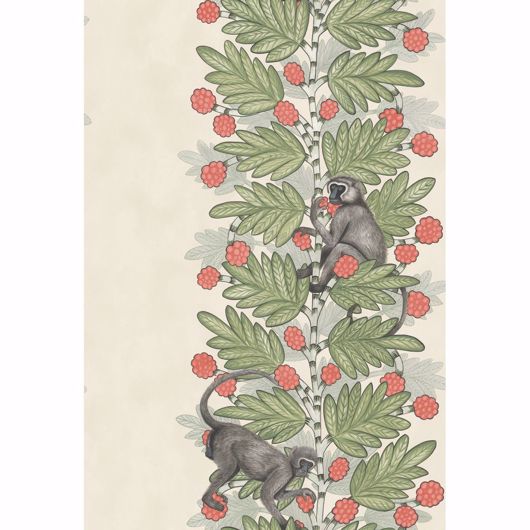 Picture of Acacia - Green & Coral Berries