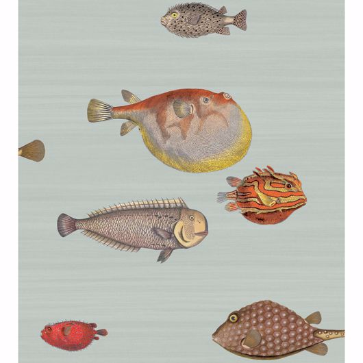 Picture of Acquario - Pal Bl & Mlt