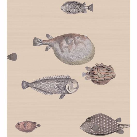 Picture of Acquario - Taupe