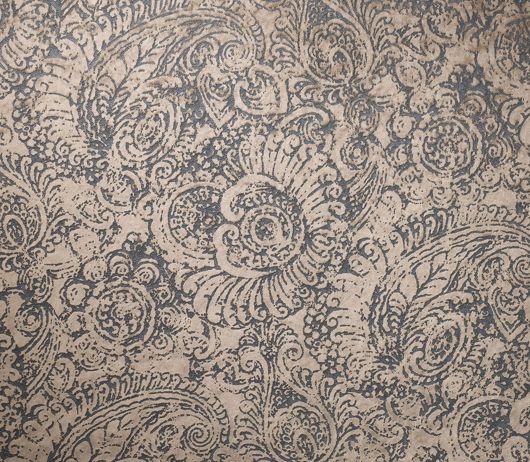 Picture of AMMONITE