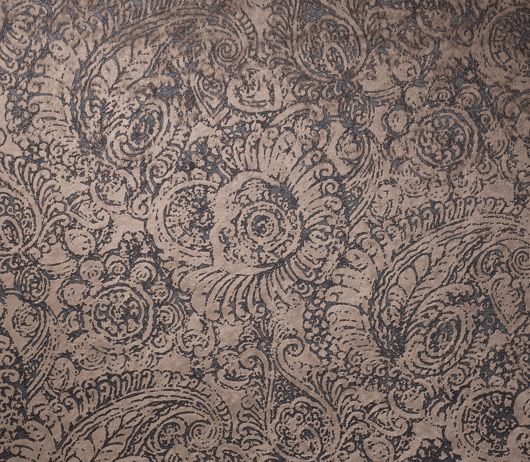 Picture of AMMONITE