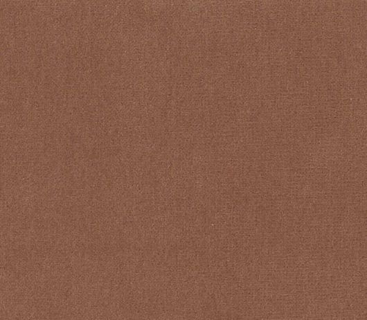 Picture of SAFARI