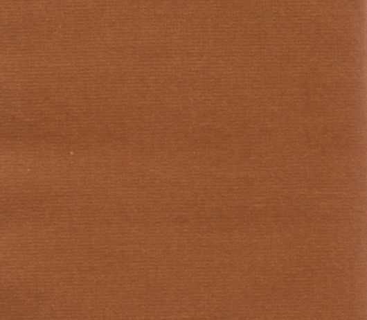 Picture of SAFARI