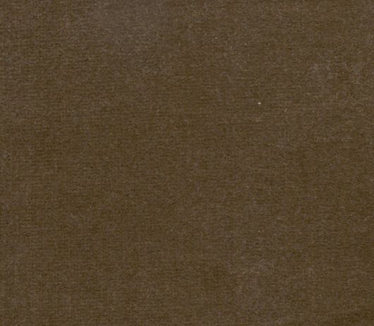 Picture of SAFARI