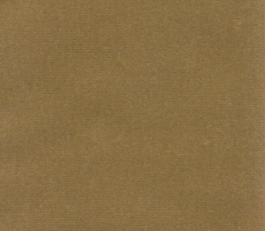 Picture of SAFARI
