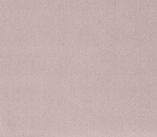 Picture of SAFARI