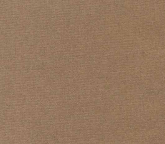 Picture of SAFARI