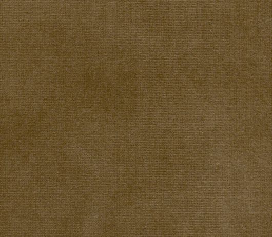 Picture of SAFARI
