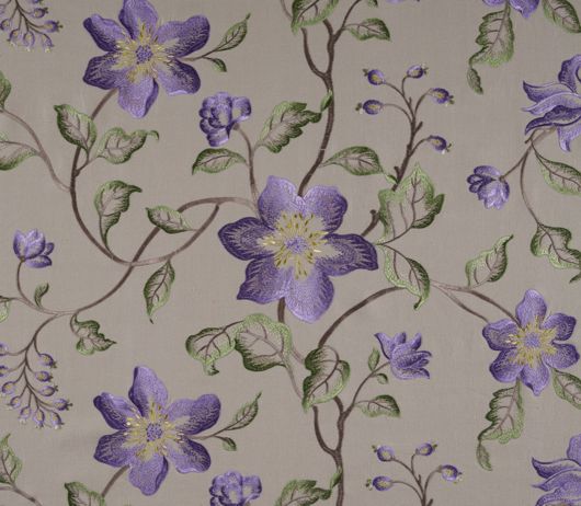 Picture of TIBOUCHINA