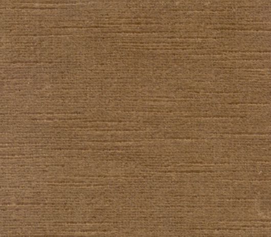 Picture of TITIAN