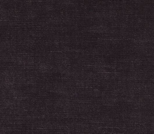 Picture of TITIAN