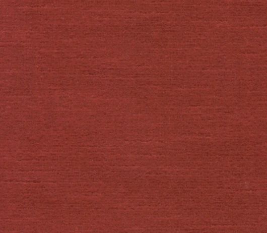 Picture of TITIAN