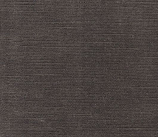 Picture of TITIAN