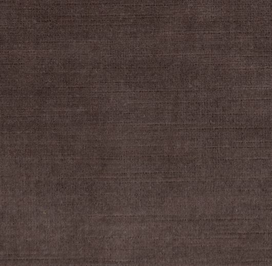 Picture of TITIAN